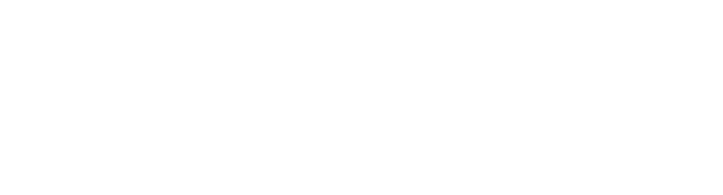 Carrion Accident & Injury Attorneys