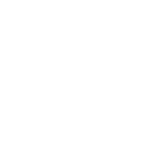 Status Auto Group